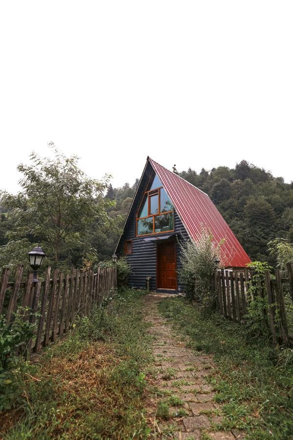 Bungalove Tatil Koeyue Çamlıhemşin Bagian luar foto
